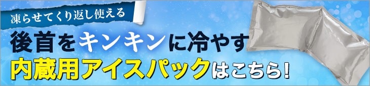 内蔵用のアイスパックはこちら