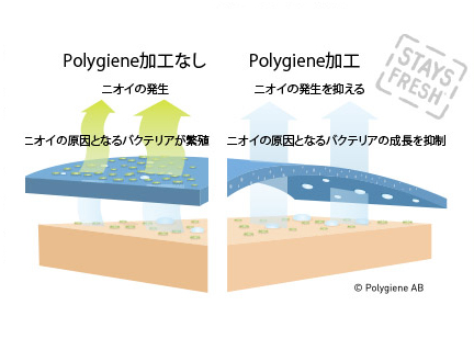 ポリジン加工の特徴