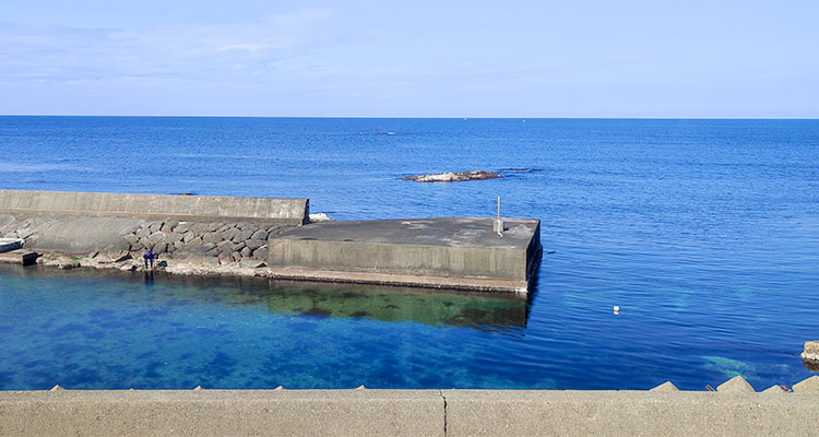 オーシャンビュー