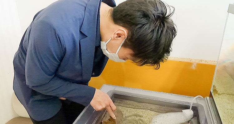 ふれあいコーナーの野坂