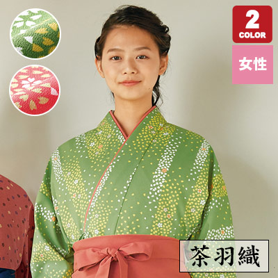小紋 桜花 桜吹雪 読みとる 縦縞 グリーン 着物 124a d.025mg