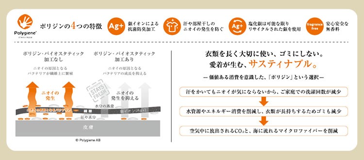 ポリジン加工のイメージ