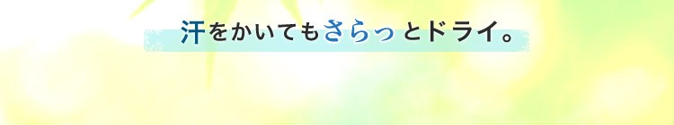 風格子シリーズ見出し背景
