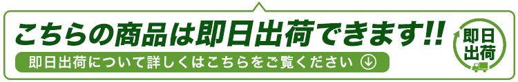 こちらの商品は即日発送できます!詳しくはこちら