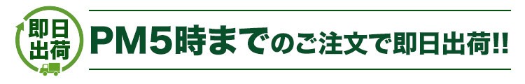 当日出荷