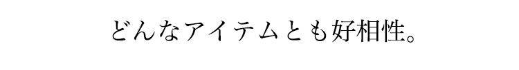 どんなアイテムとも好相性