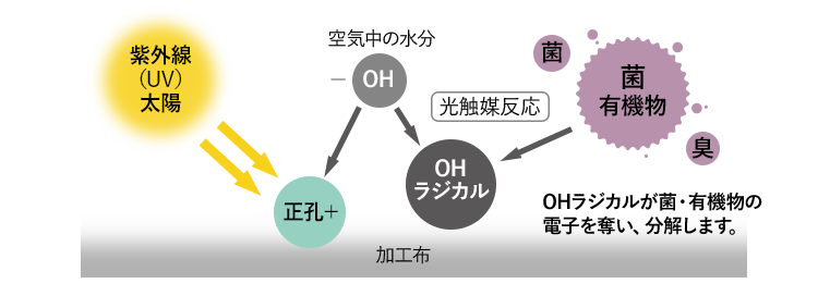 抗菌消臭加工