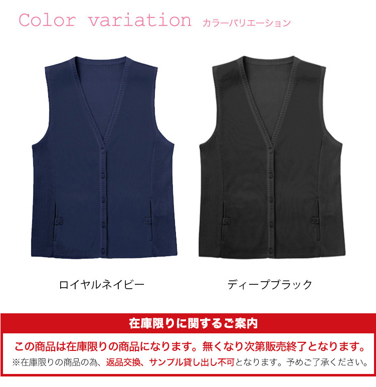 レリアン　 ダークブラウン ネイビーベスト 中古・古着通販】Champion (チャンピオン) ダウンベスト