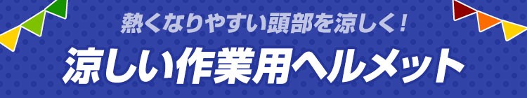 タニザワのヘルメット