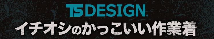 かっこいいTS DESIGN見出し