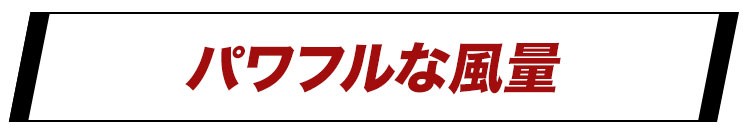 エアークラフトデバイス ポイント