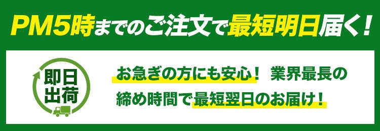 PM5:00までの注文ですぐに出荷が可能です