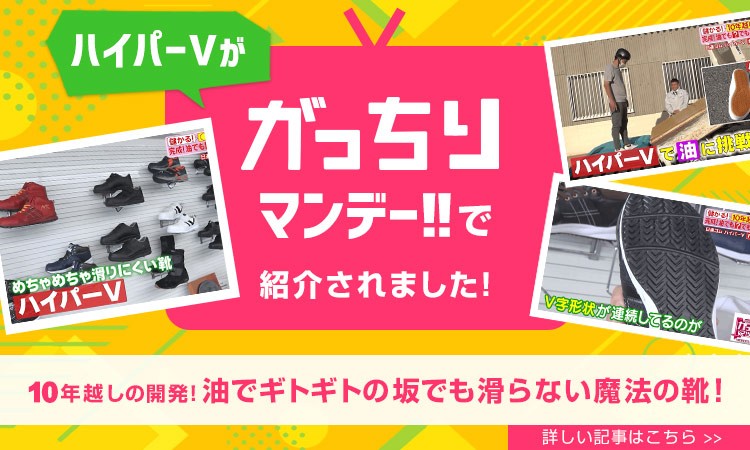 ハイパーVががっちりマンデーで紹介されました!