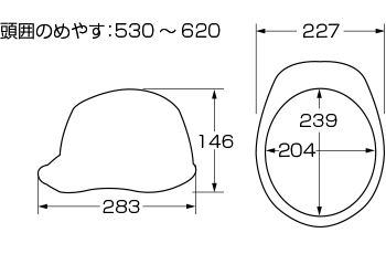 サイズ画像