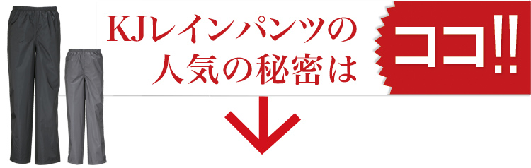 東レ ブリザテック KJレインパンツの人気の秘密