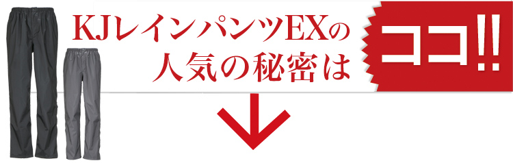 東レ ブリザテック KJレインパンツEXの人気の秘密