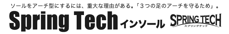 3つの足のアーチを守る!スプリングテックインソール