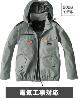 アッシュグレー(60N)