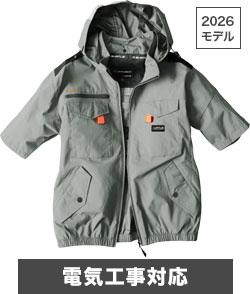 アッシュグレー(60N)