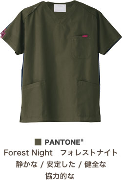 フォレストナイト(28)