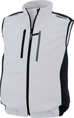 シルバーグレー(22)