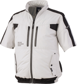 シルバーグレー(22)