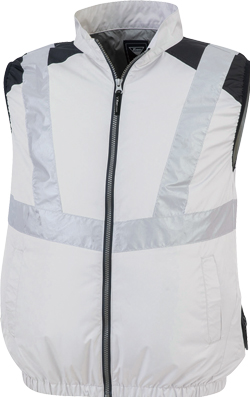 シルバーグレー(22)