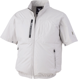 シルバーグレー(22)