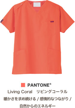 リビングコーラル(24)