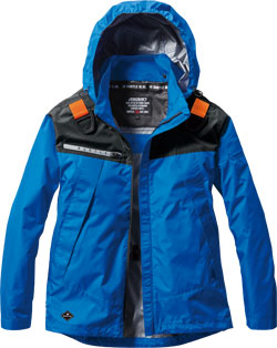 ロイヤルブルー(42)