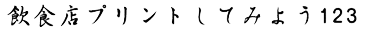 プリント書体P09