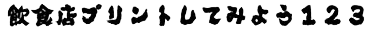 プリント書体P10