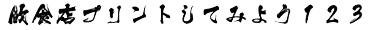 プリント書体P12