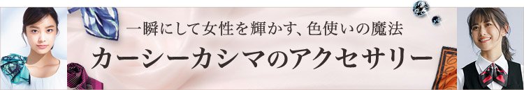 カーシーカシマ(ENJOY) アクセサリー