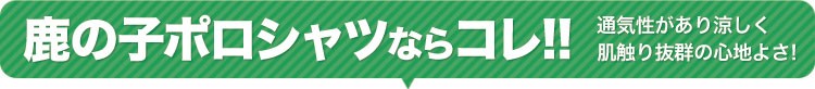 鹿の子ポロシャツならこのポロシャツ!